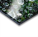 dew drops on a spiderweb Acrylic print