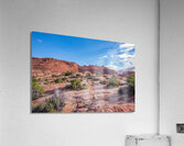 Delicate Arch in Arches National Park wide angle view  Acrylic Print