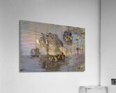 Mallard hen with ducklings  Acrylic Print