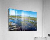 Camas Prairie Centennial Marsh in Idaho  Acrylic Print