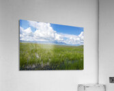 Camas Prairie Centennial Marsh Idaho  Acrylic Print