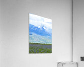 Camas Prairie Centennial Marsh in Idaho  Acrylic Print
