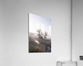 Morning mist Eagle Island State Park Idaho  Acrylic Print