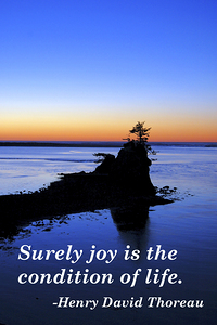  Thoreau poster joy quote