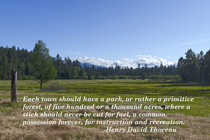  Thoreau poster eternity quote