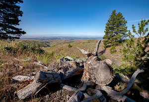 View of Boise Idaho from Boise National Forest