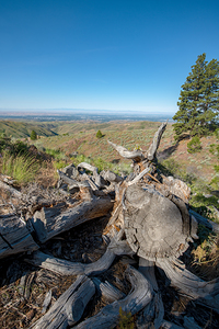 View of Boise Idaho from the mountains