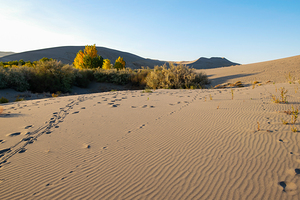  Bruneau Dunes sunrise walk Idaho