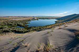  Early morning at Bruneau Dunes from larger dune