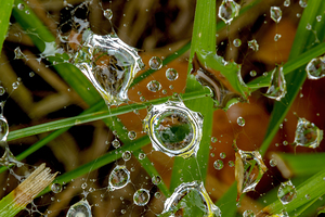 Dewdrops on spiderweb