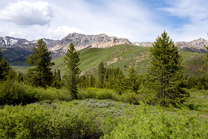 Mountain Goat Viewing Area Idaho