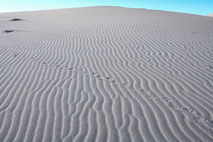 Sand patterns at Bruneau Dunes