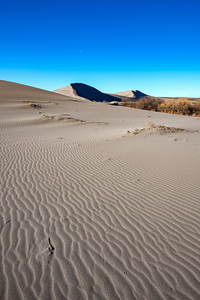 Sands of Bruneau Dunes