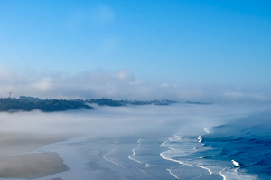 View from Yaquina Head