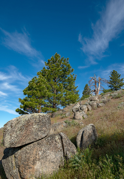 Exploring Boise National Forest by Nature Photo Northwest
