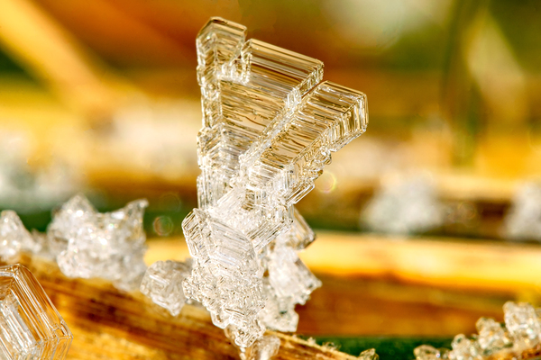 Ice formations on a leaf by Nature Photo Northwest