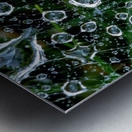 dew drops on a spiderweb Metal print