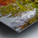 fall colors in Boise Metal print