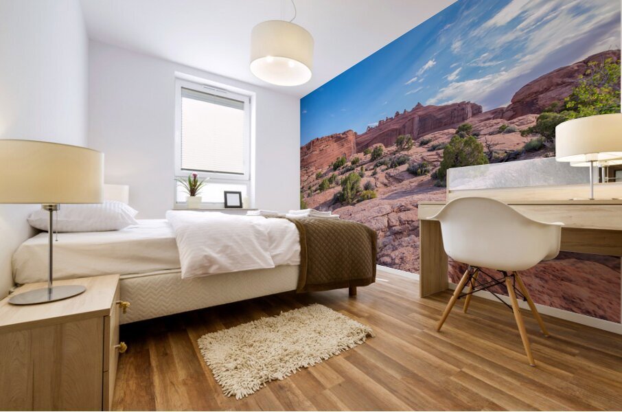 Delicate Arch in Arches National Park wide angle view Mural print