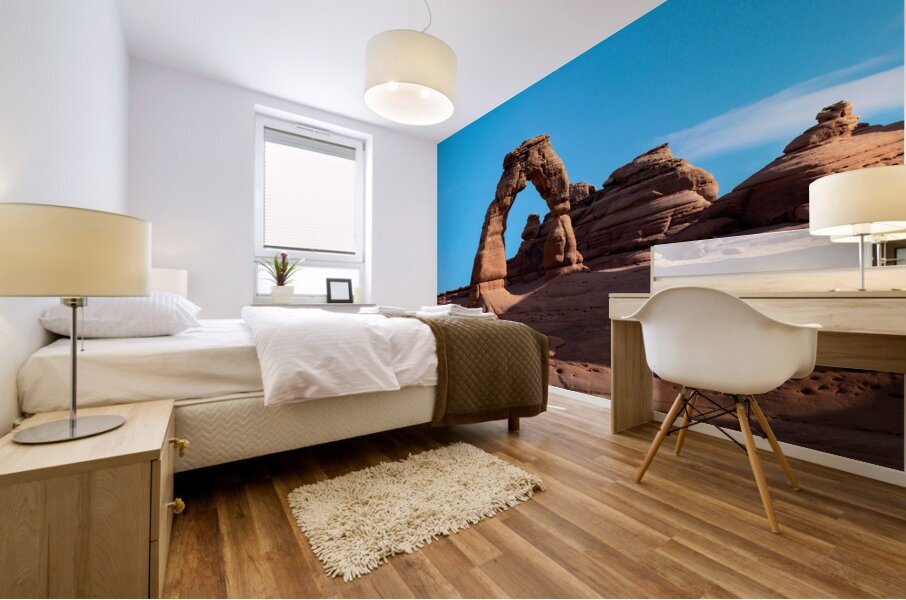 Delicate Arch in Arches National Park Mural print