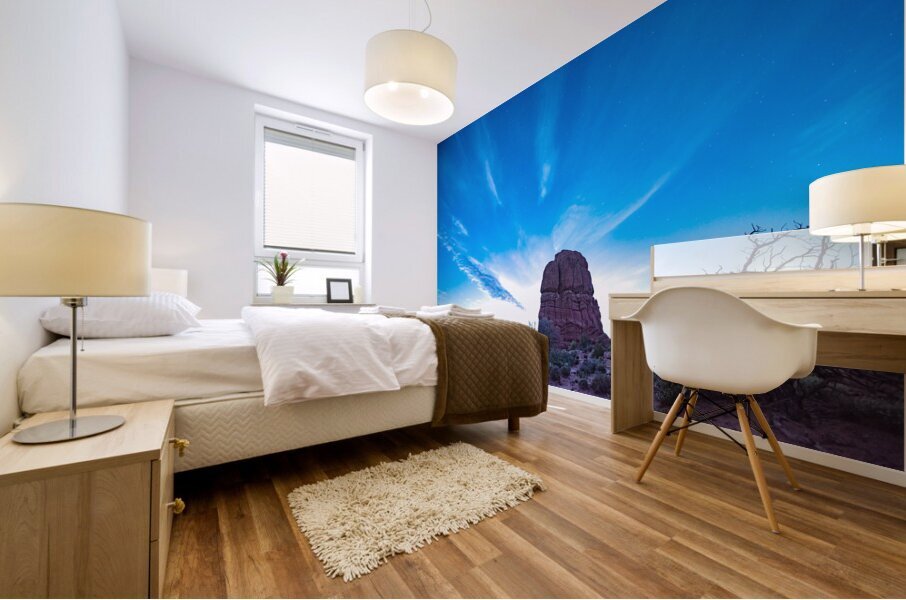 Arches National Park pre-dawn Mural print