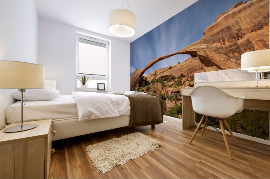 Landscape Arch in Arches National Park Mural print