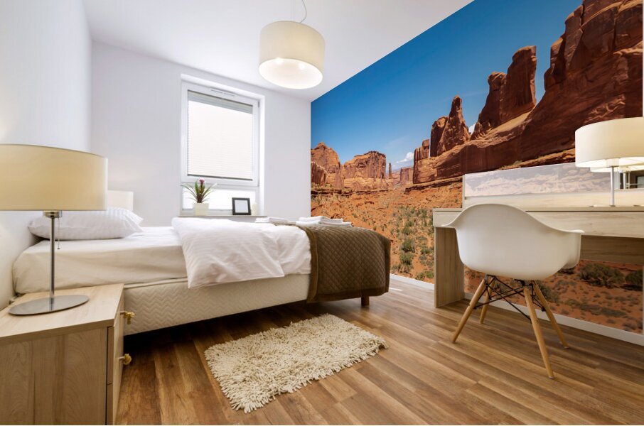 Park Avenue in Arches National Park panoramic Mural print