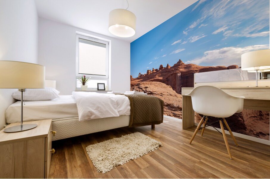 Delicate Arch in Arches National Park Mural print
