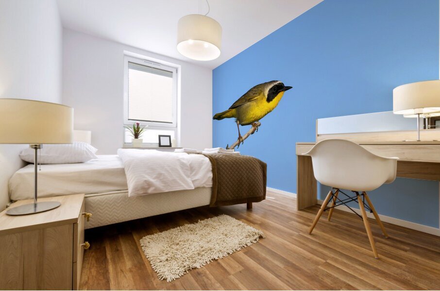 Common Yellowthroat Mural print