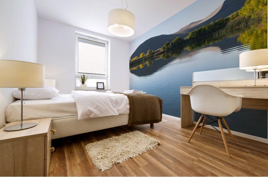  Bruneau Dunes lake Idaho Mural print