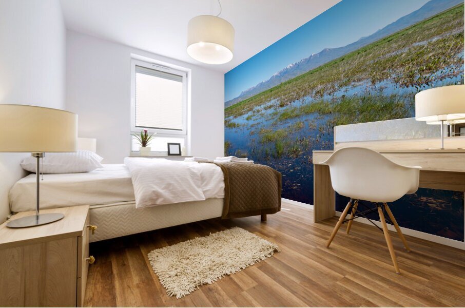 Camas Prairie Centennial Marsh in Idaho Mural print
