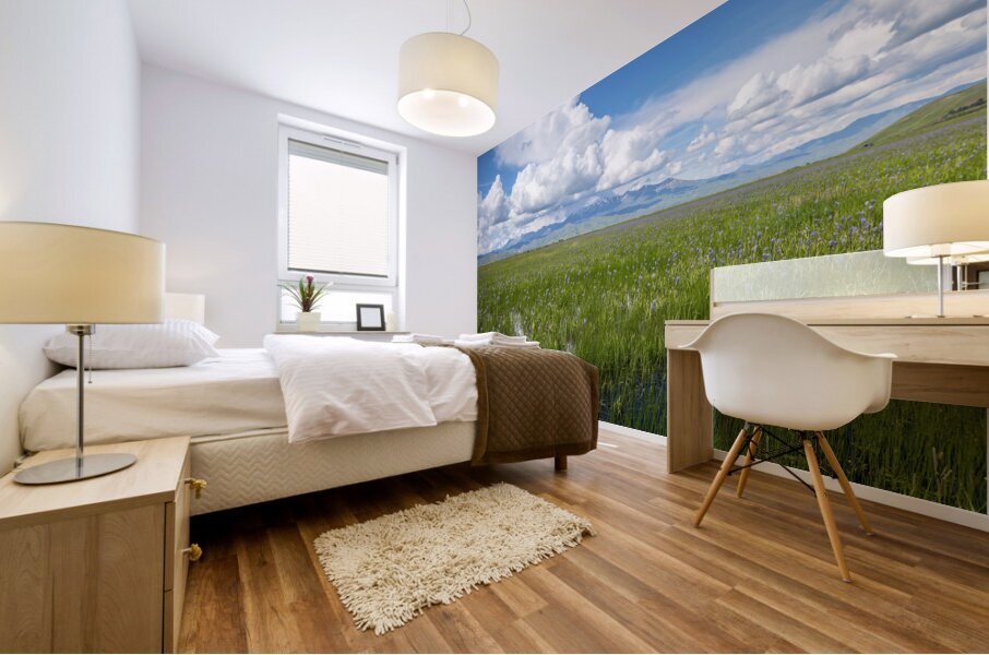 Camas Prairie Centennial Marsh Idaho Mural print