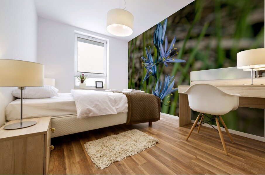 Common Camas  Mural print