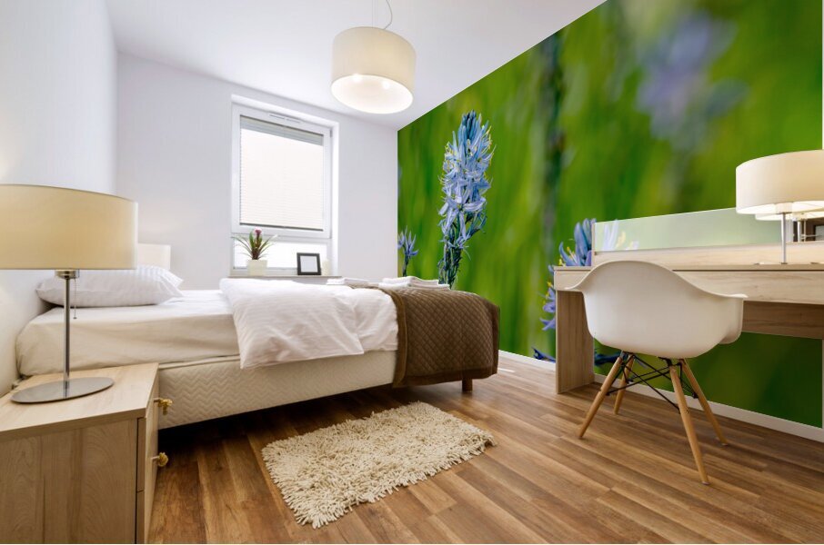 Common Camas  Mural print
