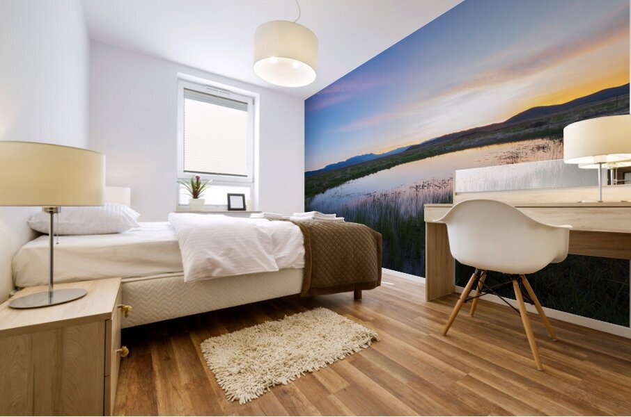Camas Prairie Centennial Marsh in Idaho at sunrise Mural print