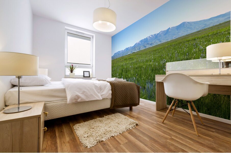 Camas Marsh  Mural print
