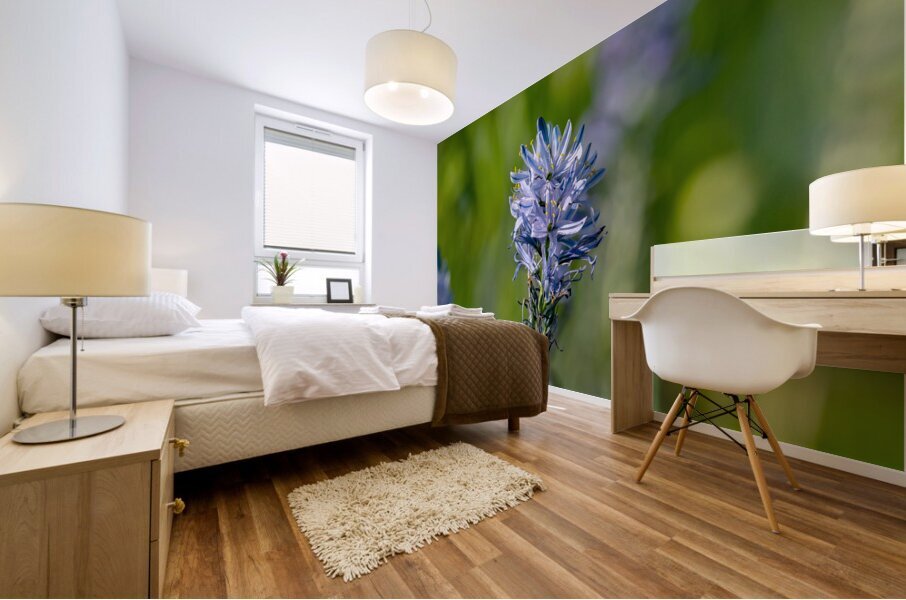 Common Camas  Mural print