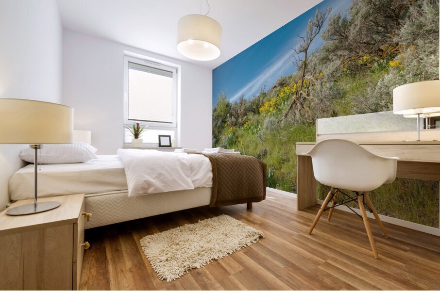 Arrowleaf Balsamroot in Boise foothills Mural print