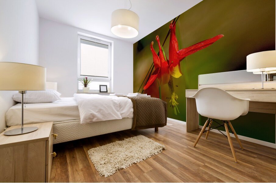 Western Columbine  Mural print