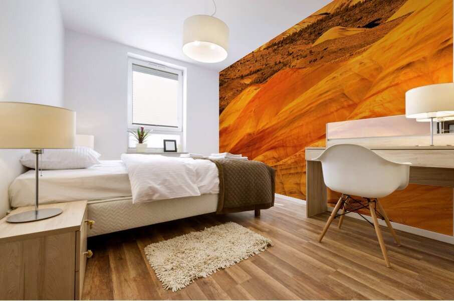 Painted Hills at John Day Fossil Beds National Monument Oregon Mural print