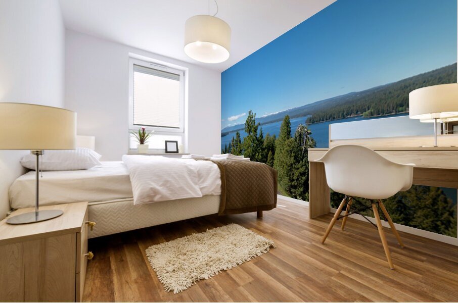 Payette Lake Idaho Mural print