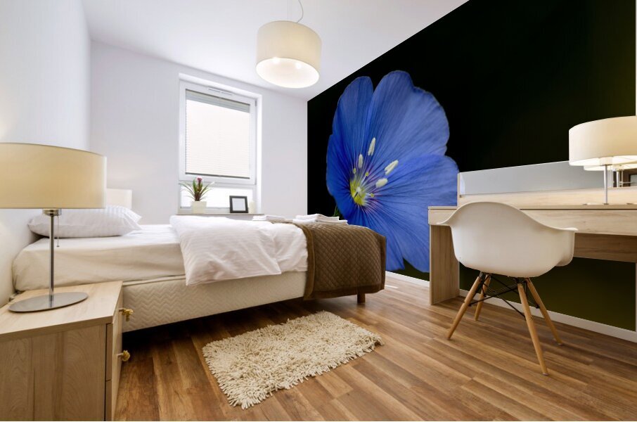 Blue Flax macro photograph Mural print