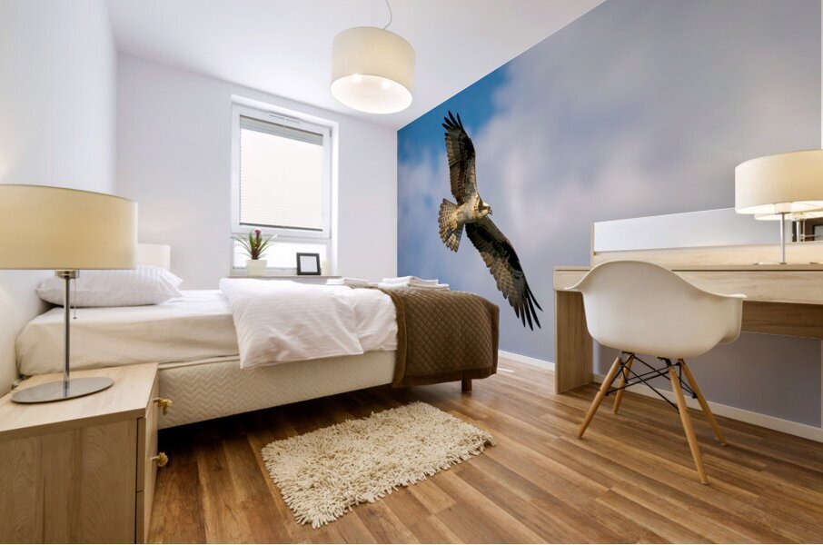  Osprey in flight Mural print