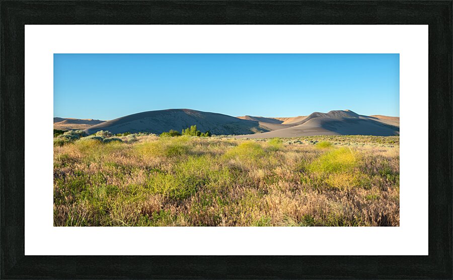Sunrise at Bruneau Dunes State Park Idaho  Framed Print Print