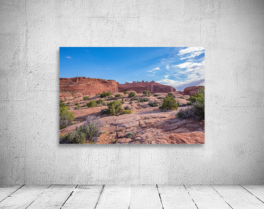 Delicate Arch in Arches National Park wide angle view by Nature Photo Northwest