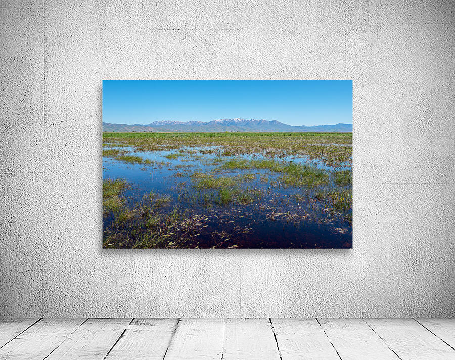 Camas Prairie Centennial Marsh in Idaho by Nature Photo Northwest