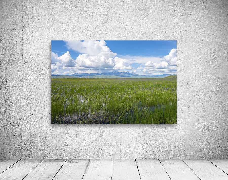 Camas Prairie Centennial Marsh Idaho by Nature Photo Northwest