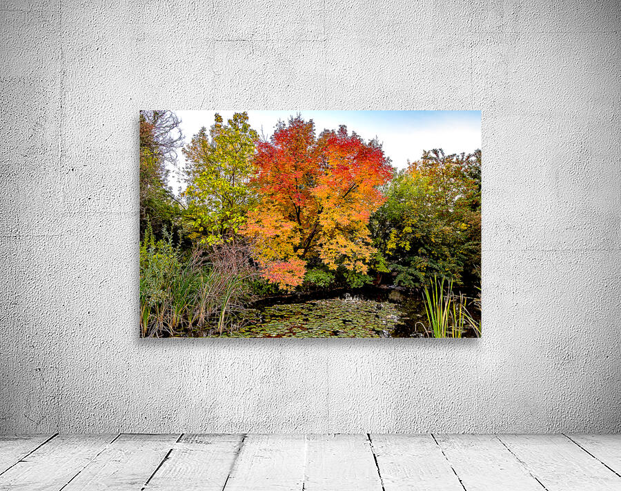 fall colors in Boise by Nature Photo Northwest