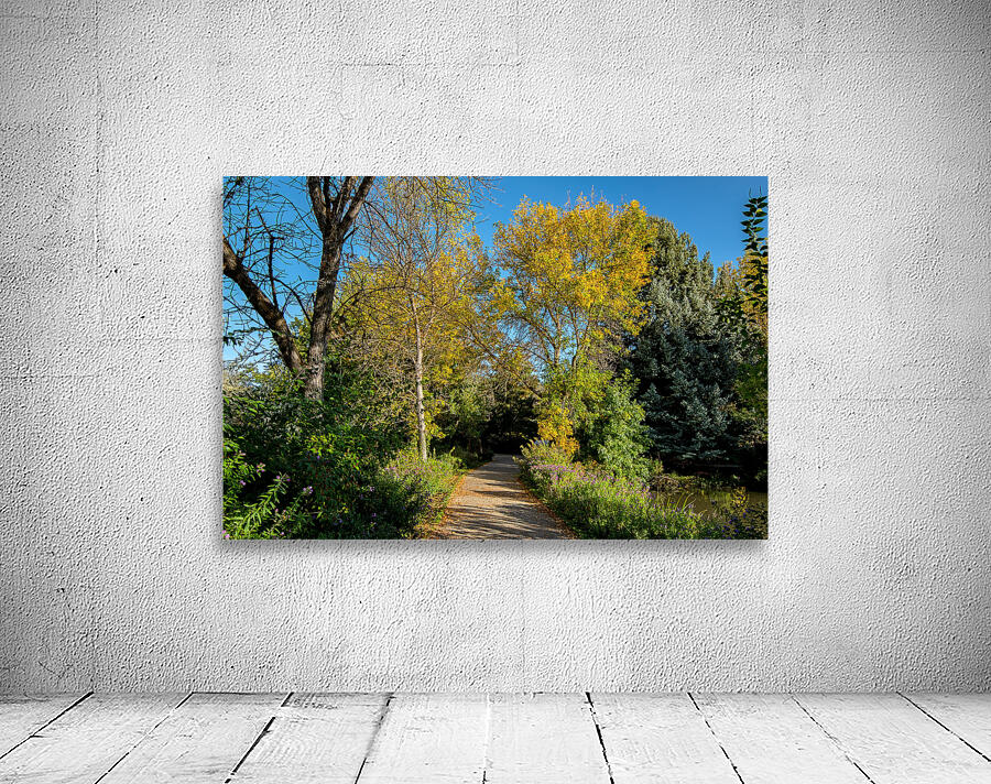 walking path in fall by Nature Photo Northwest