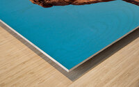 Delicate Arch in Arches National Park Wood print